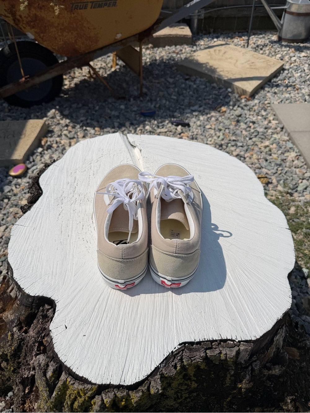 Vans - Picture 4 of 5